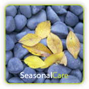 Seasonal Care